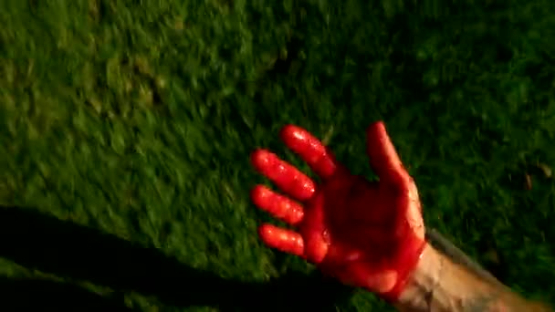 Scared man runs with hand covered in blood, horror — Stock Video