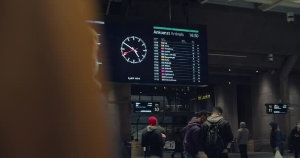 Il viaggiatore pendolare controlla l'e-ticket del telefono digitale — Video Stock