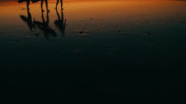 Tanınmayan sörfçüler sörf oturumundan döndüler