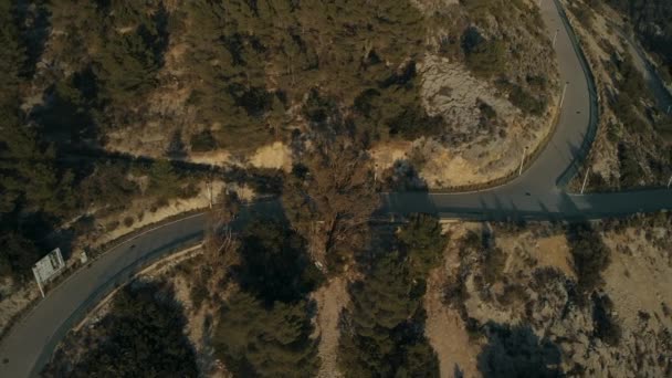 Filmreife Drohnenaufnahmen von Freunden auf Moped — Stockvideo