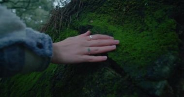 Kadın eli ormandaki ağaç gövdesinde yosunlara dokunuyor.