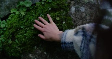 Kadın eli, ağaçtaki yeşil yağmur ormanları yosununa dokunur.