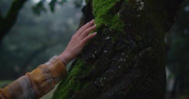 Kadın sinemada ağaç gövdesine dokunuyor.