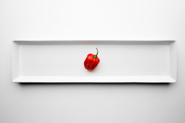 Uzun beyaz tabak üzerinde izole baharatlı küçük kırmızı biber