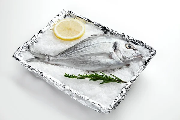 Dorada crue sur sel de mer dans une assiette recouverte de papier d'aluminium — Photo