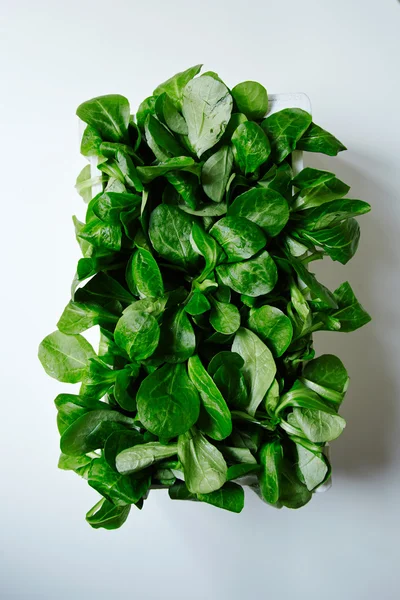 Watercress salad in white wooden box top view — Stock Photo, Image