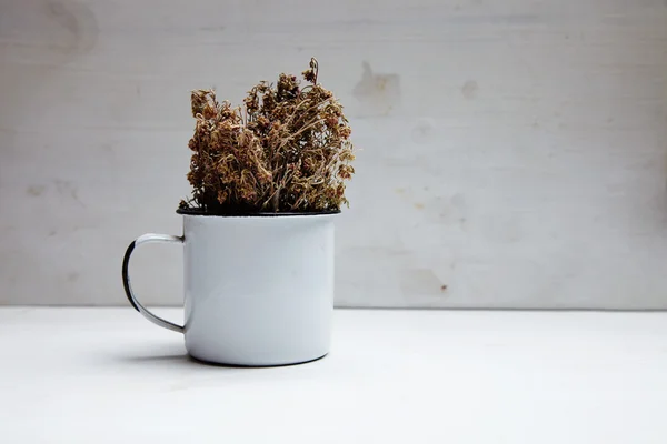 Dried spicy herb in white cup — Stock Photo, Image