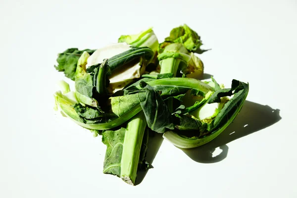 Haulm from romanesco cabbage broccoli in direct sunlight — Stock Photo, Image