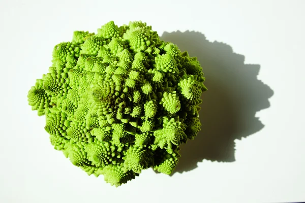 Romanesco cabbage broccoli in direct sunlight — Stock Photo, Image