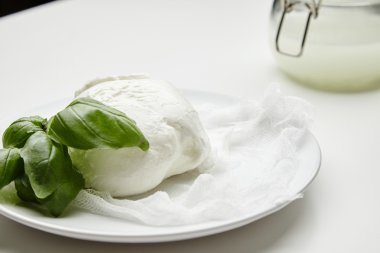 Fesleğen ile taze buffalo mozzarella kapatın
