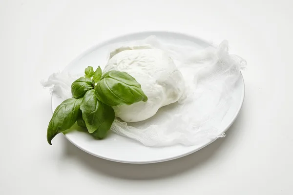 Mozzarella de búfalo fresco con albahaca aislada en placa blanca —  Fotos de Stock