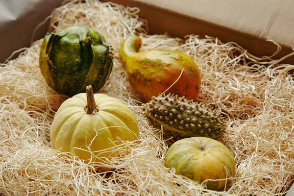 Fazenda vegetal em caixa de papel preenchida com palha — Fotografia de Stock