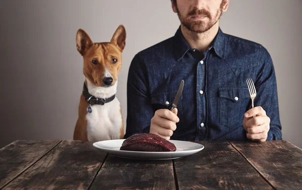 Homme avec son chien assis devant le steak — Photo