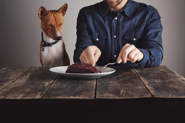 Hombre corta pedazo de filete para perro encantador —  Fotos de Stock