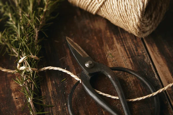 Gartenschere, dickes Seil, Knoblauch- und Rosmarinseite — Stockfoto