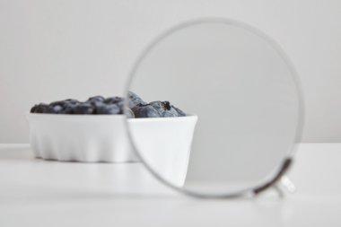 Heap of blueberry magnified for details