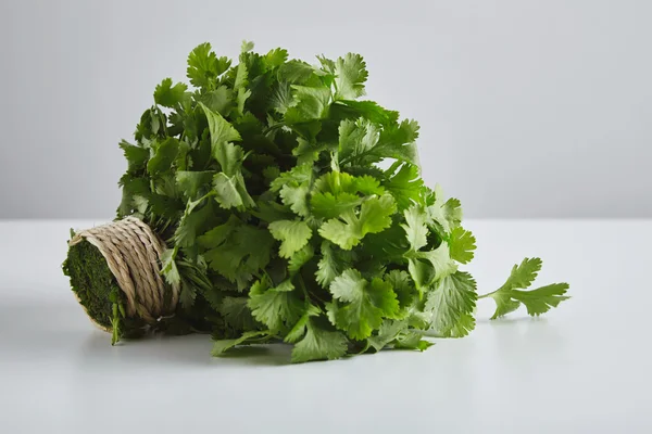 Batch of fresh parsley, cilantro, tied craft rope — Zdjęcie stockowe