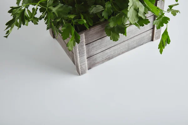 Top view part wooden box parsley cilantro — Stok fotoğraf