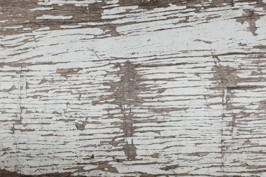 eski kurulları ile solan