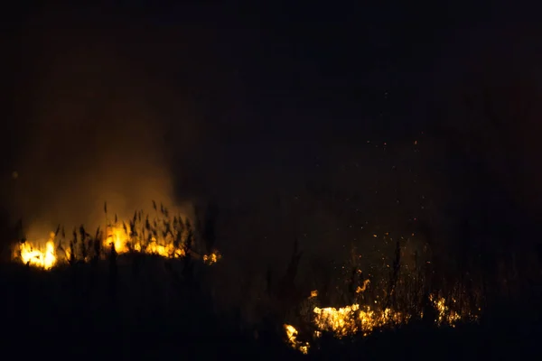 Hierba Seca Quema Por Noche Pastos Prados Campo Desastre Ambiental —  Fotos de Stock