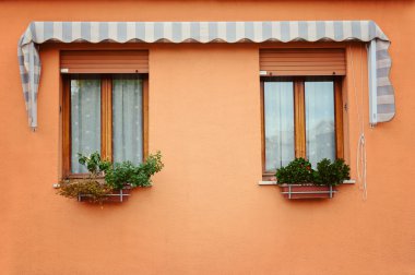 iki eski pencere Panjur ve çiçekler ile