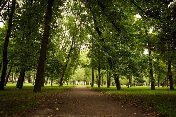 Yolun Park