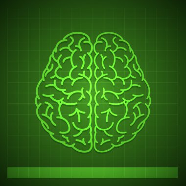 İnsan beyni kavramı yeşil zemin üzerine