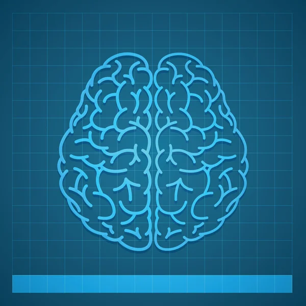 Concepto del cerebro humano sobre fondo azul — Vector de stock