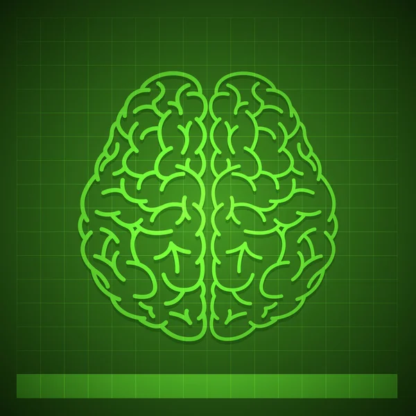 Concept du cerveau humain sur fond vert — Image vectorielle