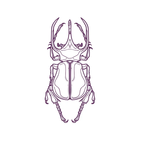 Anahat büyük boynuz böceği böcek böcek