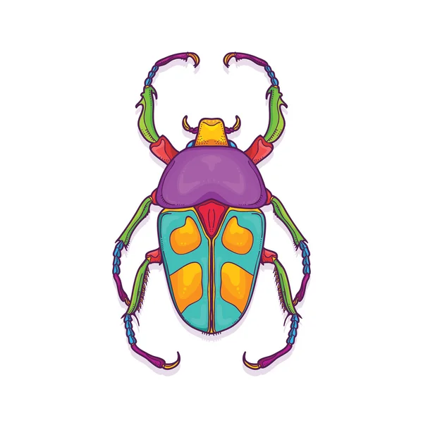 Colorful Beetle Bug Insect, Jumnos ruckeri — Stock Vector