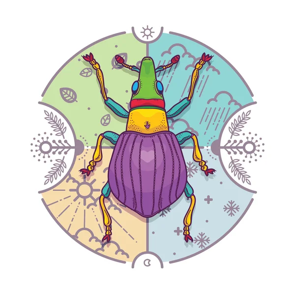 線のグラフィックを持つ昆虫カブトムシ バグ デザイン要素 — ストックベクタ