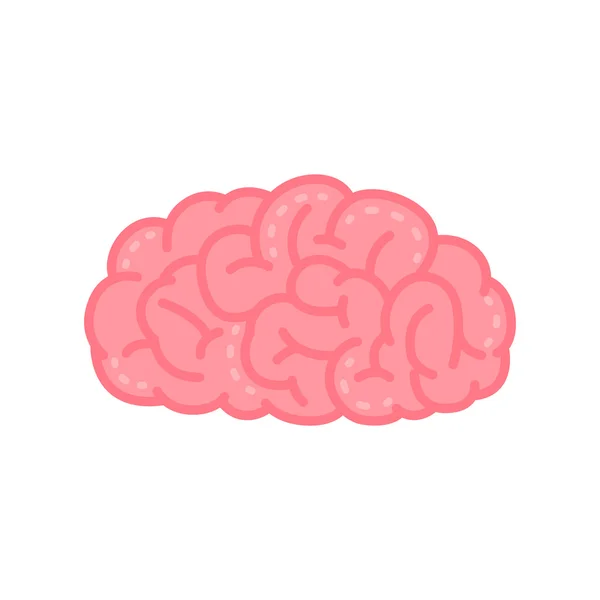 Cerveau humain rose — Image vectorielle