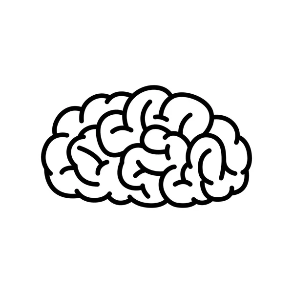 Esquema del cerebro humano — Vector de stock