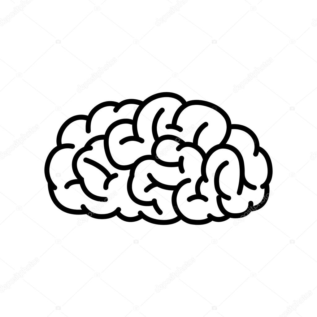 Outline Human Brain