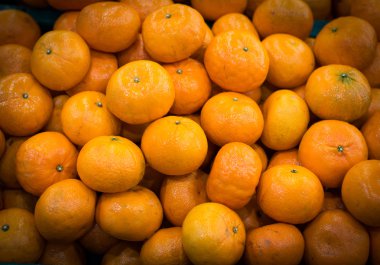 Turuncu bir çiftlik stand