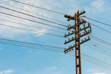 kaotik pole ve mavi gökyüzü arka plan üzerinde yuva kabloyla