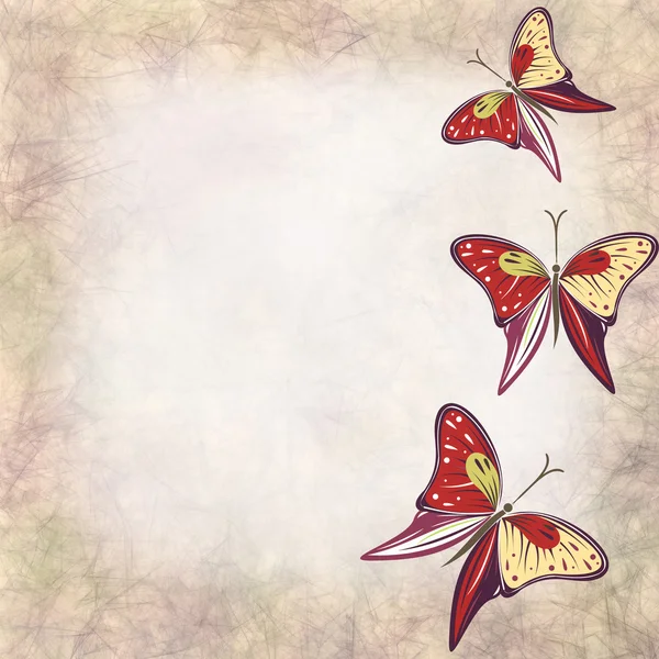 蝶の描かれたカード — ストック写真