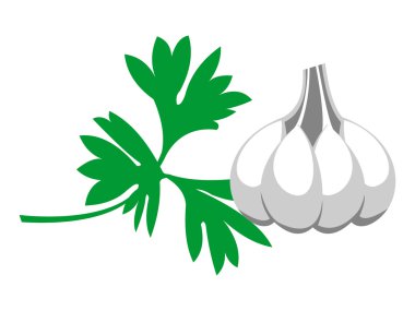 Vektör çizim. Gri sarımsak yeşil maydanoz, beyaz arka plan üzerinde izole ile