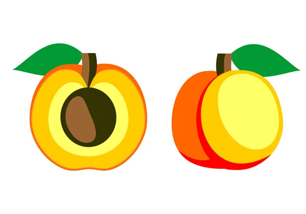 矢量水果插画。整个详细的杏，图标和一半，孤立在白色的背景. — 图库矢量图片