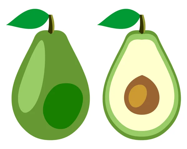 Vektorové ilustrace ovoce. Podrobné ikony o avokádem, celé a polovinu, izolované na bílém pozadí. — Stockový vektor