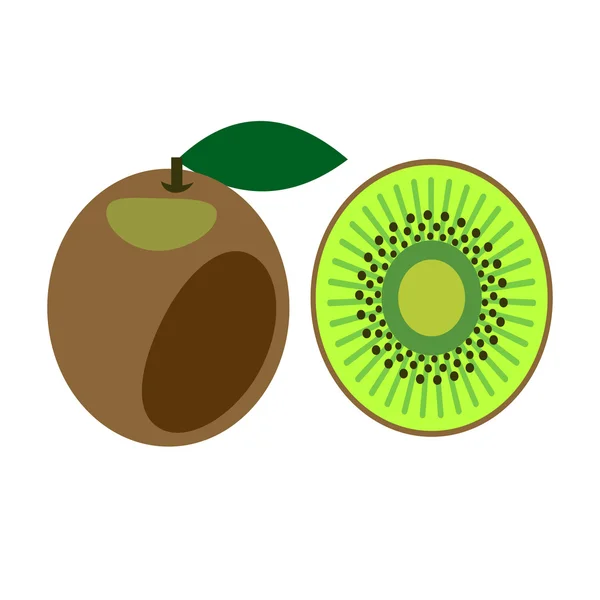 Vector fruits illustration. Detailed icon of kiwi, whole and half — Stok Vektör