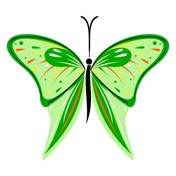 Vectorillustratie van insecten, groene vlinder, geïsoleerd op de witte achtergrond — Stockvector