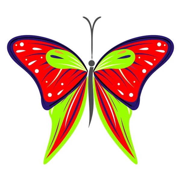 Vector illustration of insect, colorful red and green butterfly, isolated on the white background — Stock Vector