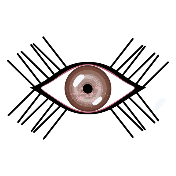 Ilustración vectorial del ojo humano con pestañas. Ojo marrón femenino estilizado con reflejos — Archivo Imágenes Vectoriales