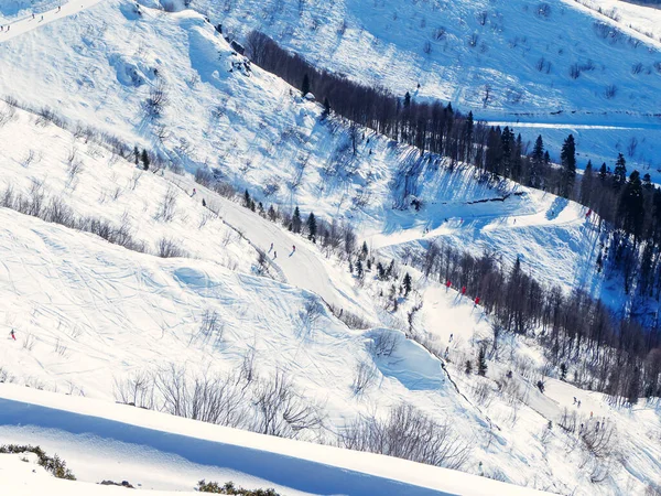 Pistes de ski avec pistes et arbres le long. Vue d'en haut — Photo