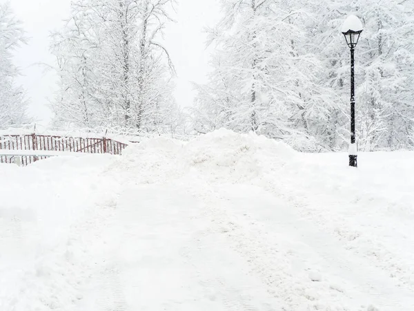 Lyktan står på en snötäckt kulle framför en snödriva mot bakgrunden av en skog och ett staket på en dimmig snöig dag — Stockfoto