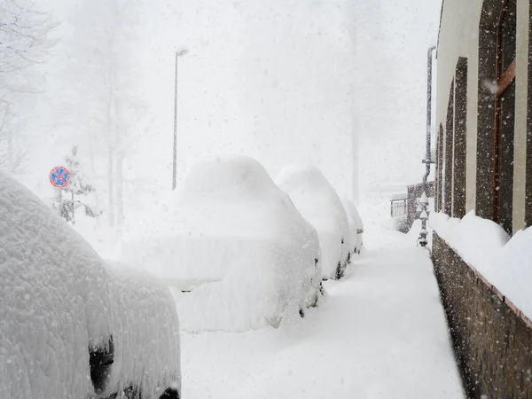 Bilar tungt täckta med snöställ i rad längs byggnaden under kraftigt snöfall — Stockfoto