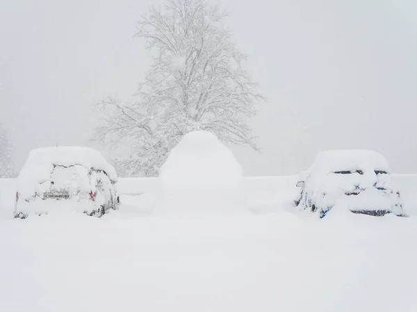 En bil helt täckt med snö står mellan två mindre snötäckta bilar mot en bakgrund av ett träd i tung snö och dimma — Stockfoto