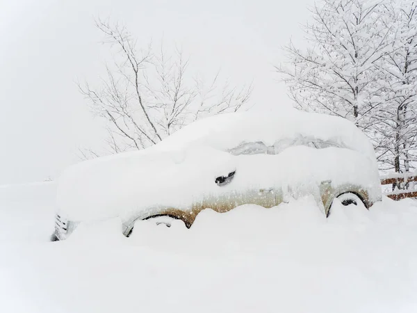 En bil tungt täckt med snö står bredvid träd en molnig dag med tung snö — Stockfoto